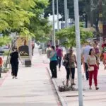 Fortaleza é a capital mais arborizada do Nordeste, aponta IBGE