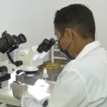 Pesquisadores da UFC desenvolvem nova fórmula para tratamento da Doença de Chagas