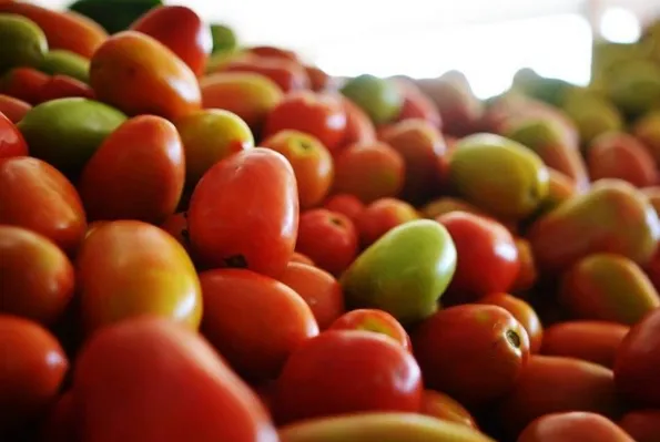 Tomate é item de maior pressão no IPCA de março, aponta IBGE