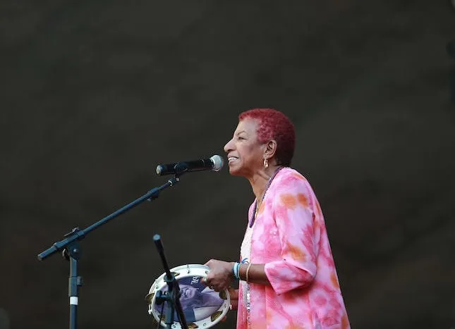 Leci Brandão recebe alta após mal súbito durante festival de samba em São Paulo