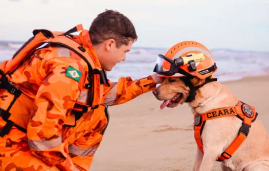 Heróis de quatro patas: conheça o trabalho dos cães das Forças de Segurança do Ceará