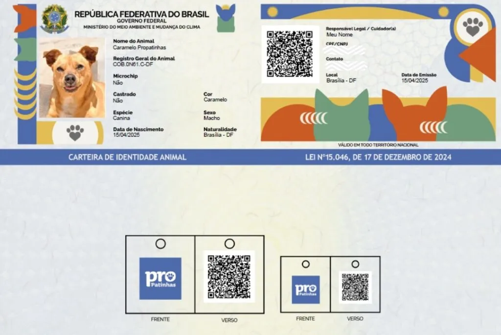 Governo Federal regulamenta ‘RG Animal’ com cadastro nacional gratuito para cães e gatos