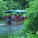 Passeio de barco pelo Rio Cocó alia lazer e educação ambiental em Fortaleza