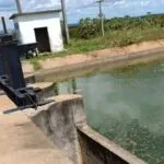 Homem morre afogado ao pular em canal para fugir de ataque de abelhas no Ceará