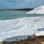 Fortaleza tem 8 trechos de praia próprios para banho neste fim de semana
