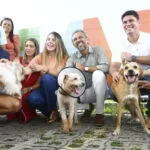 Ônibus com centro cirúrgico vai rodar o Ceará com castrações gratuitas de cães e gatos