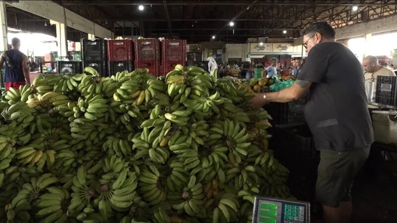 Cesta básica fica mais barata em Fortaleza: leite, banana e feijão têm queda nos preços