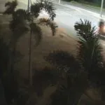 Idoso é atropelado por moto enquanto atravessava faixa de pedestres no Crato