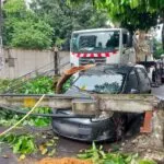 Chuva causa queda de árvore e poste no Meireles, em Fortaleza; carro foi atingido