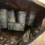 PF encontra R$ 430 mil em espécie em casa de líder do PL durante operação