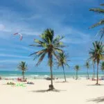 IMMOBINVEST: primeiro fundo imobiliário do Ceará inicia processo de compra de novo terreno