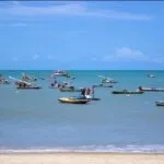 Entenda como funcionam as regras do período de defeso do caranguejo-uçá e da lagosta