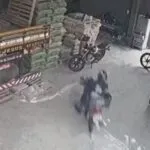 Condutor perde o controle da moto e sobrevive ao bater em sacas de cimento, no Ceará