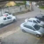 Dois cães morrem após serem atropelados por viatura da PM em Manaus