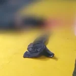 Lutador é morto a tiros de fuzil em academia em Jijoca de Jericoacoara, no Ceará