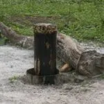 Possível petróleo encontrado em poço no Ceará não poderá ser explorado pela família