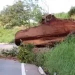 Deslizamento de pedra na CE-060 dificulta trânsito entre Caririaçu e Juazeiro do Norte