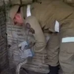 Cobra é resgatada em galinheiro no município de Beberibe, no litoral do Ceará