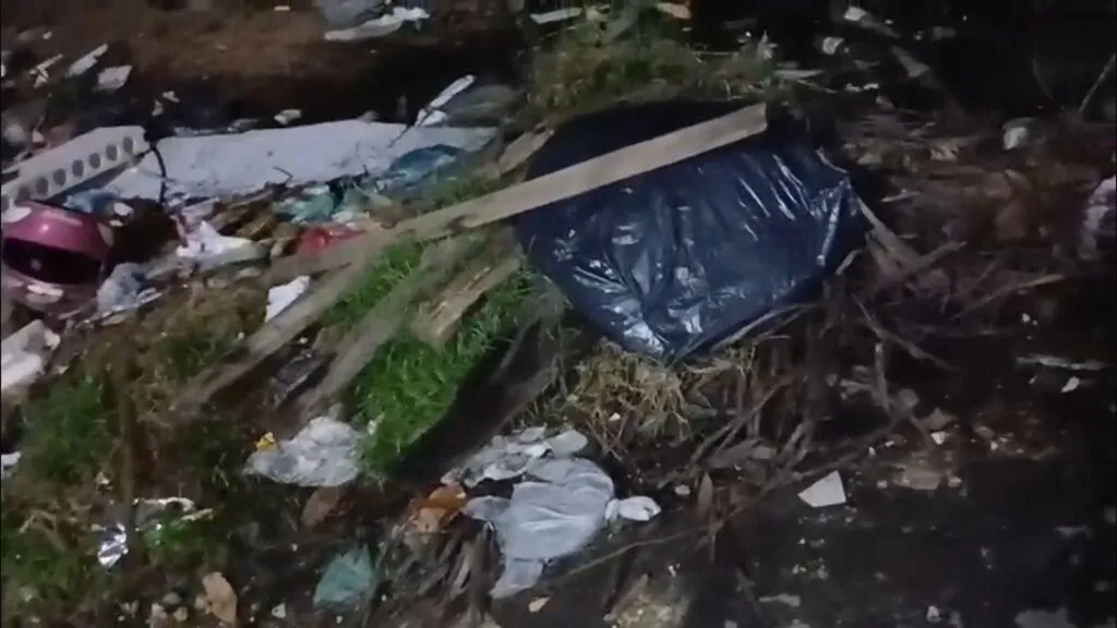 Moradores denunciam que terreno está sendo usado como cemitério de cães em Fortaleza