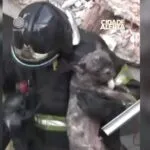 Cachorro é resgatado com vida após explosão destruir casas no Jaguaré, em São Paulo