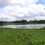 Paupina preserva história ligada a povos indígenas em Fortaleza; saiba mais sobre o bairro