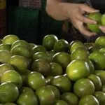 Safra da laranja reduz preços e aumenta oferta no Ceará